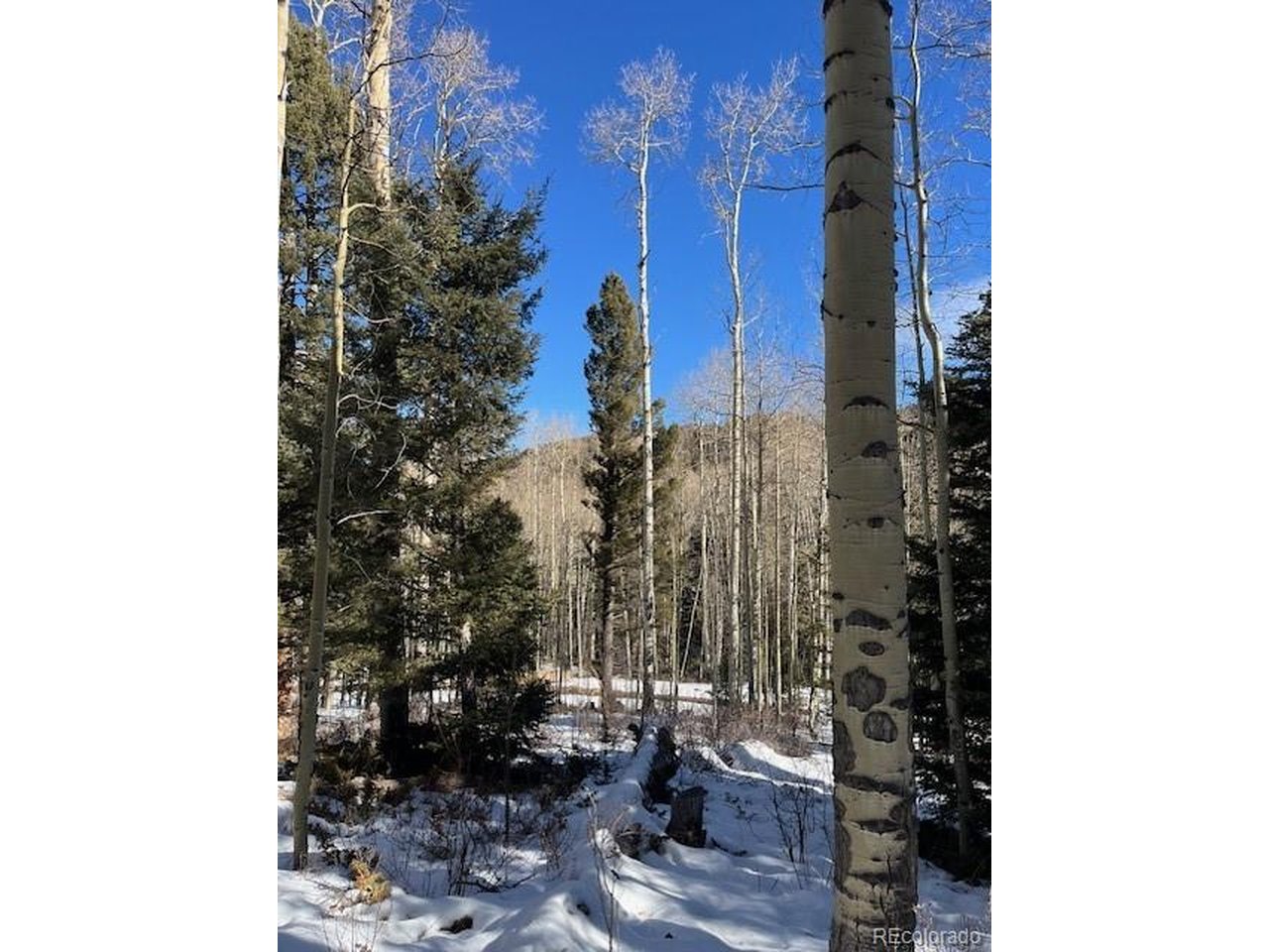 5252 Scott Road Fort Garland, CO 81133 - Photo 21 of 32 a view of a house with a backyard