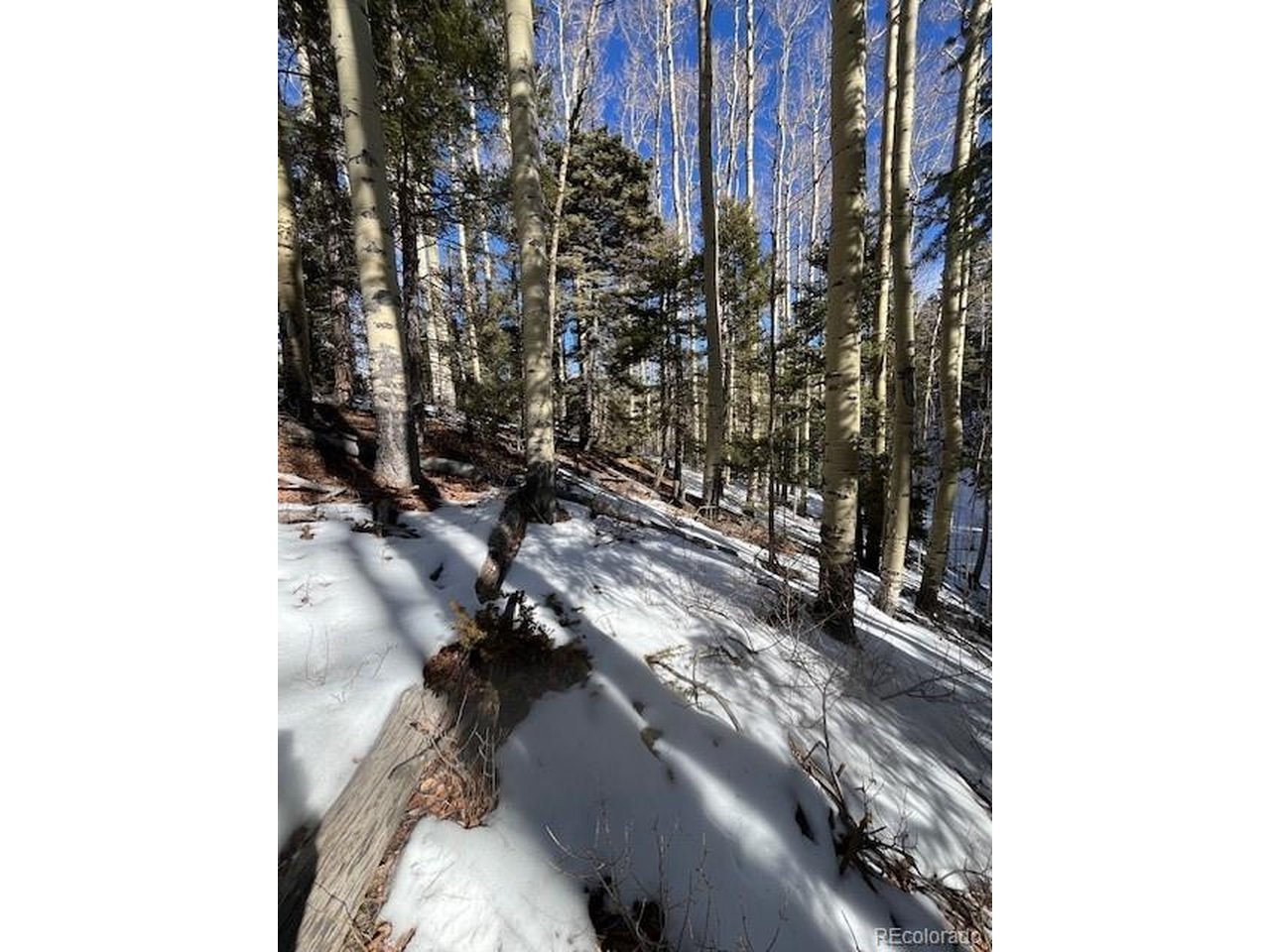 5252 Scott Road Fort Garland, CO 81133 - Photo 26 of 32