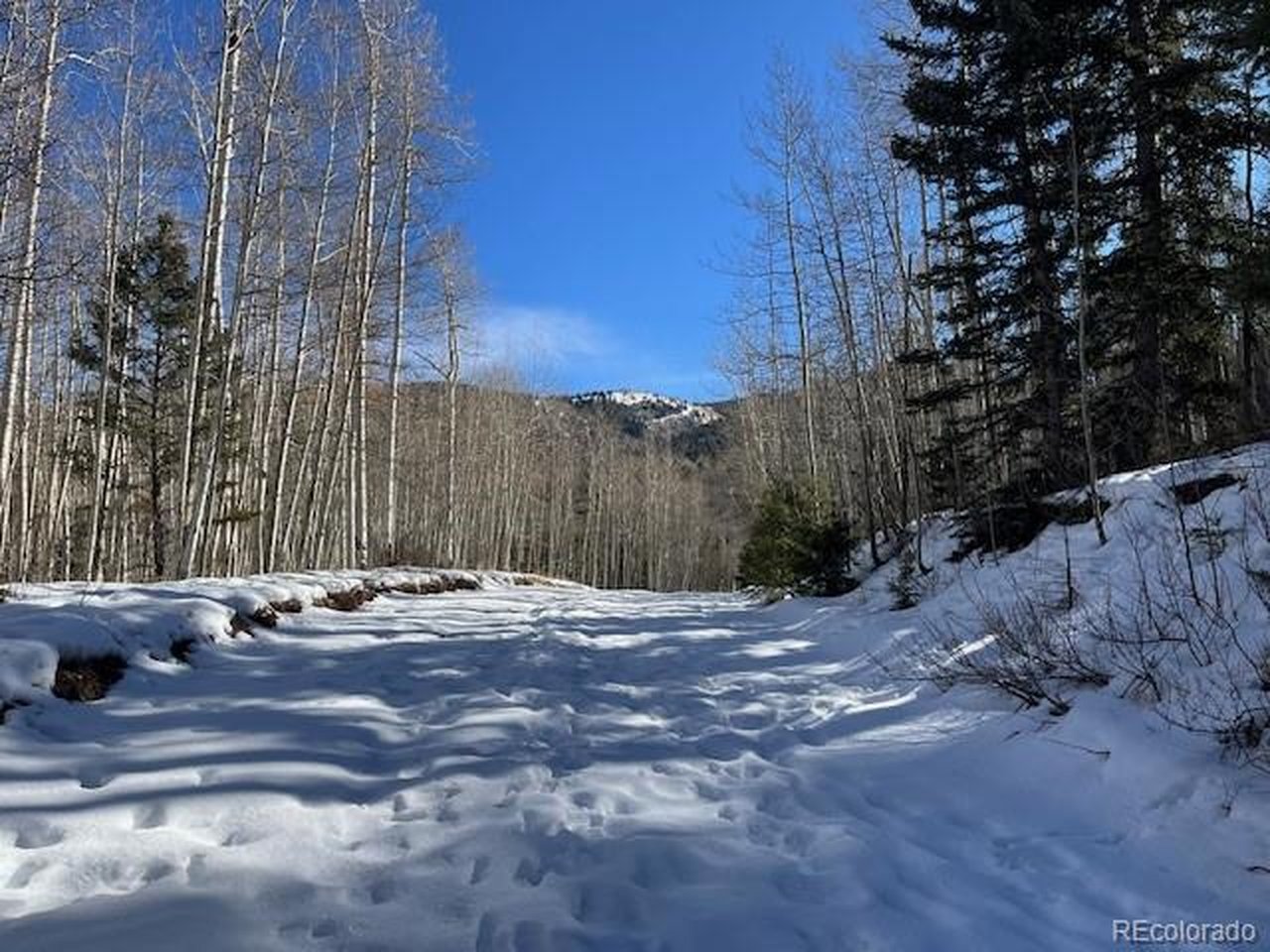 5252 Scott Road Fort Garland, CO 81133 - Photo 4 of 32