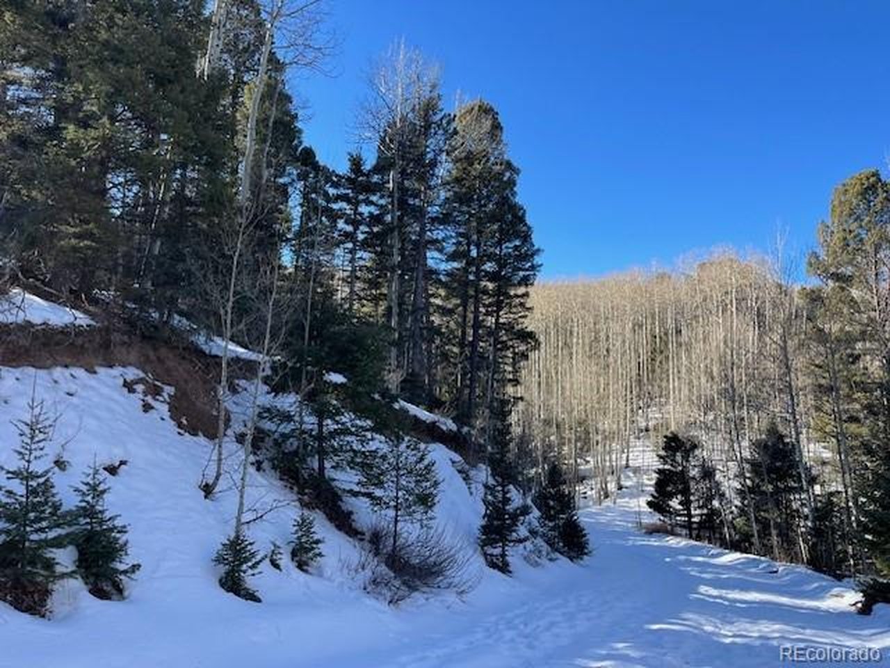 5252 Scott Road Fort Garland, CO 81133 - Photo 5 of 32 a view of outdoor space with sitting space