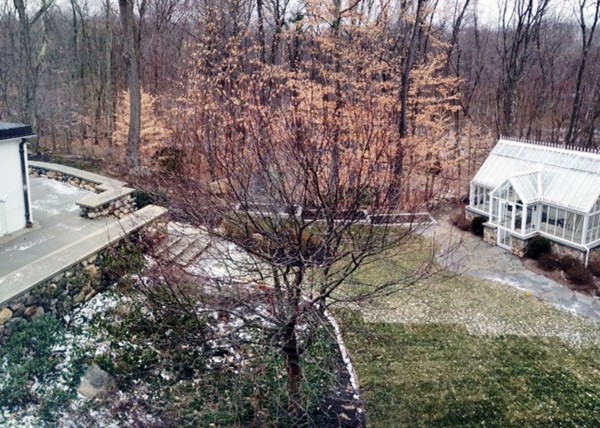 45 Old Farm Road Wellesley, MA 02481 - Photo 19 of 20 a view of a yard with plants and trees