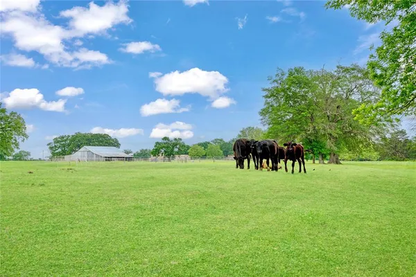 a view of grassy field with trees