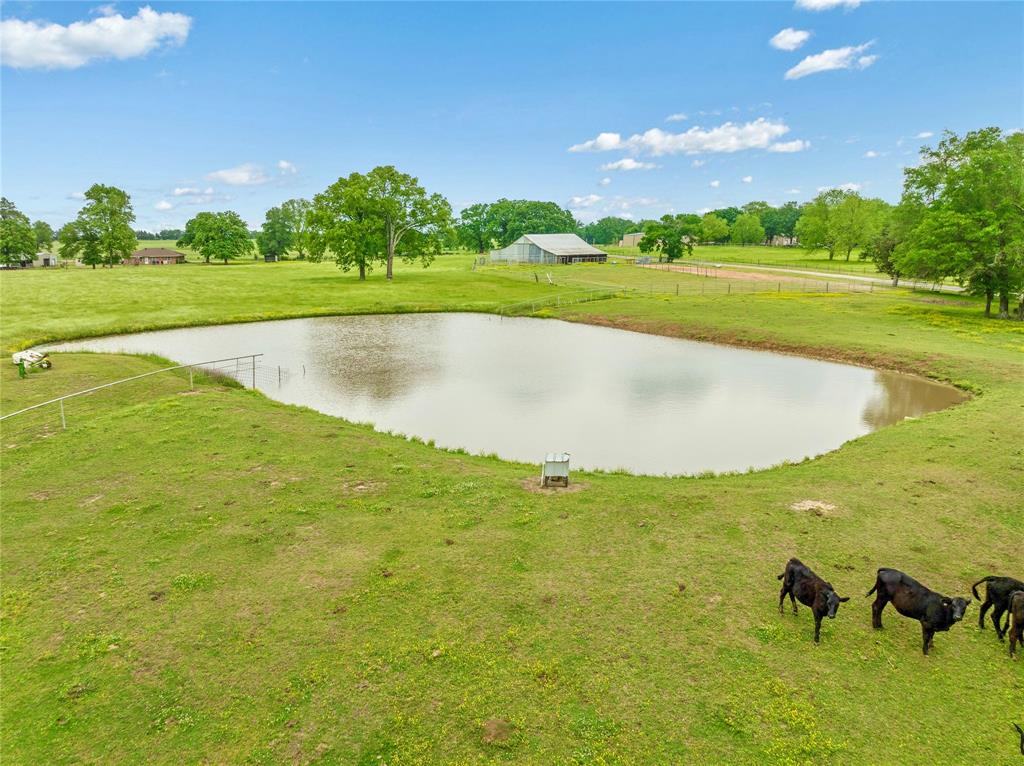 1355 County Road 33100 Sumner, TX 75486 - Photo 2 of 34 a view of a golf course with a lake