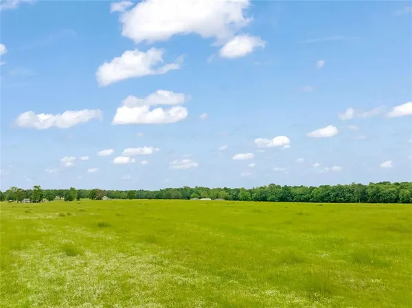 a view of an ocean and a yard