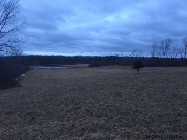 303 Herrick Road Delanson, NY 12053 - Photo 1 of 6 Photo 1