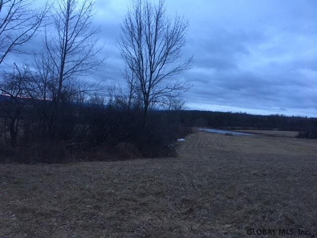 303 Herrick Road Delanson, NY 12053 - Photo 4 of 6 Photo 4