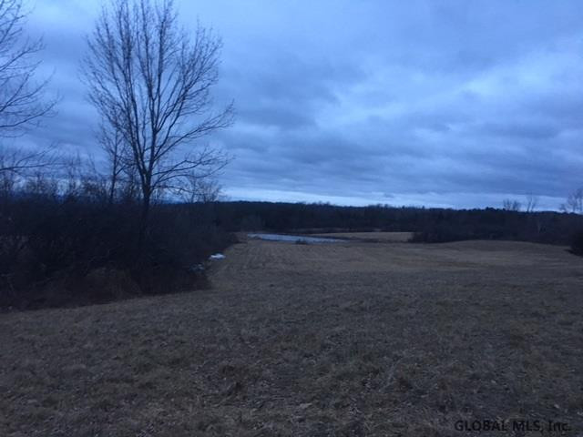 303 Herrick Road Delanson, NY 12053 - Photo 6 of 6 Photo 6