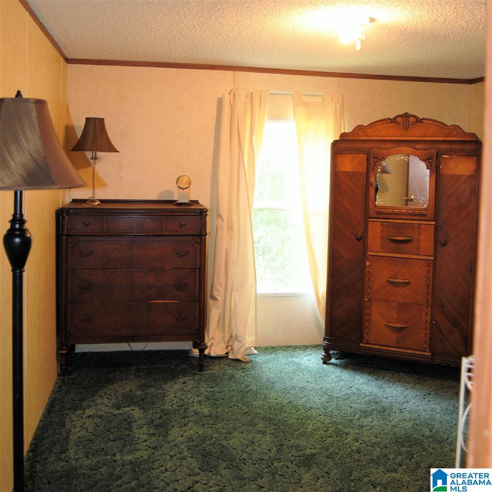 3628 Spunky Hollow Road Remlap, AL 35133 - Photo 10 of 29