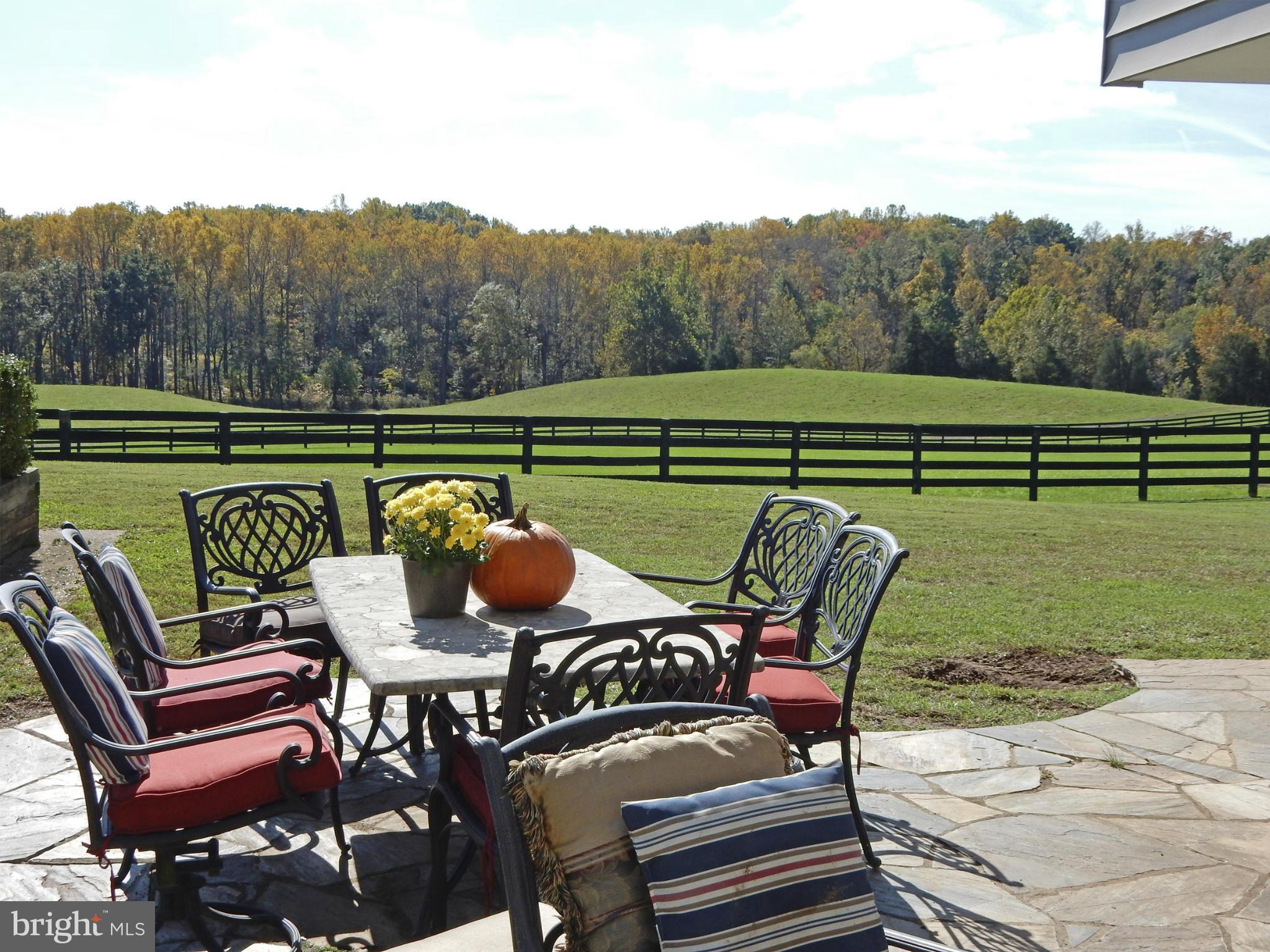 9154 Lees Ridge Road Warrenton, VA 20186 - Photo 16 of 29 Patio with views