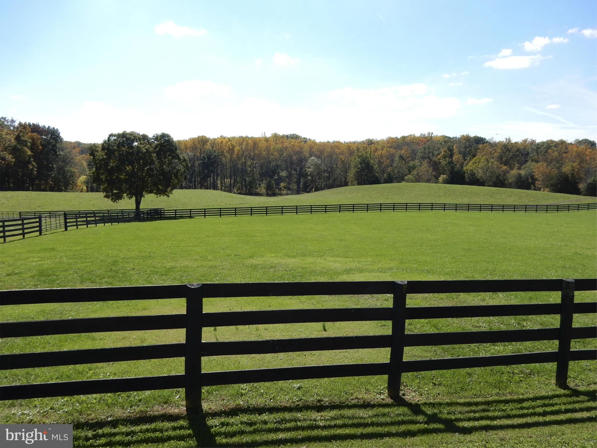 9154 Lees Ridge Road Warrenton, VA 20186 - Photo 3 of 29 Fenced pasture