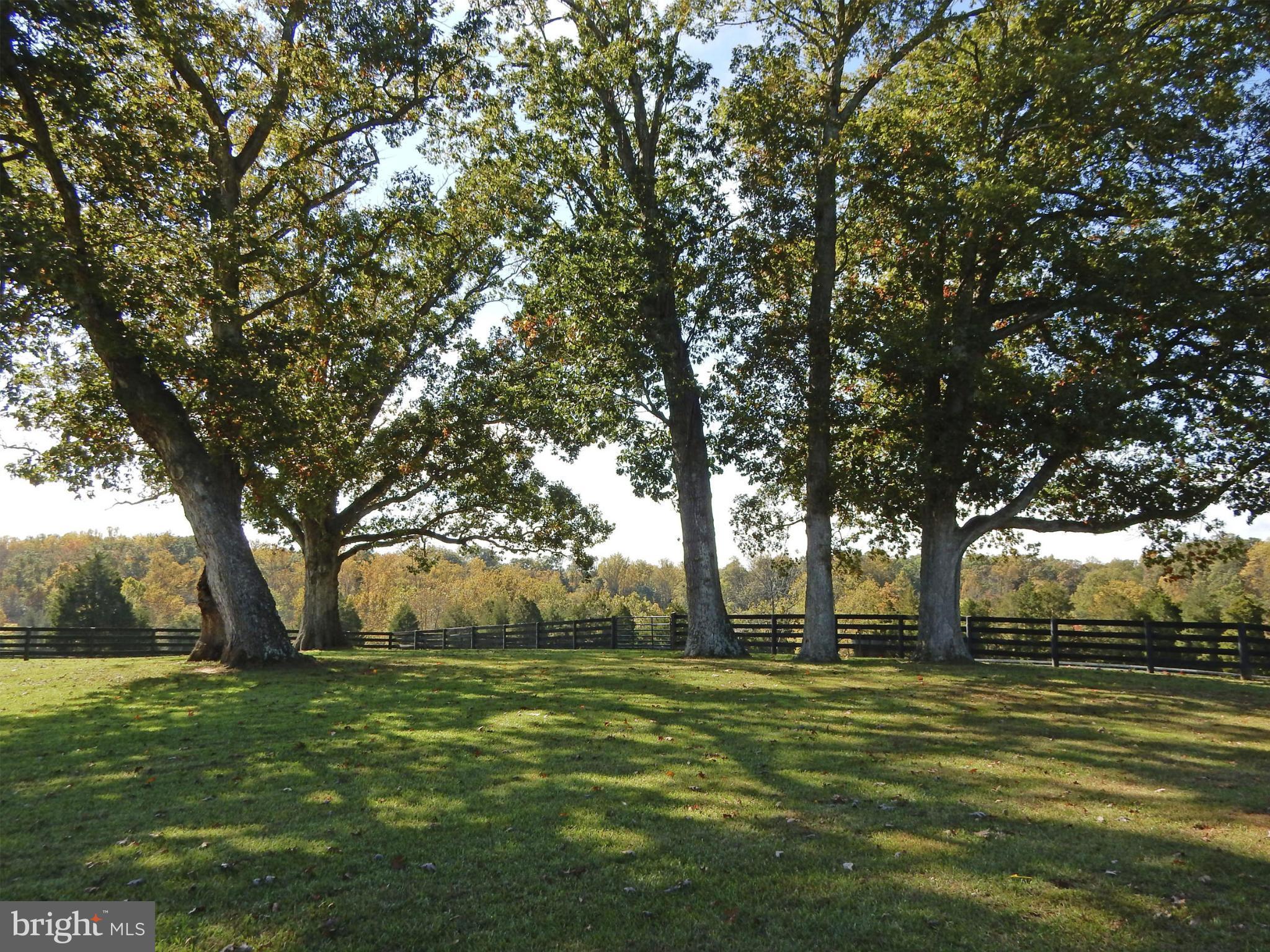 9154 Lees Ridge Road Warrenton, VA 20186 - Photo 25 of 29 Yard
