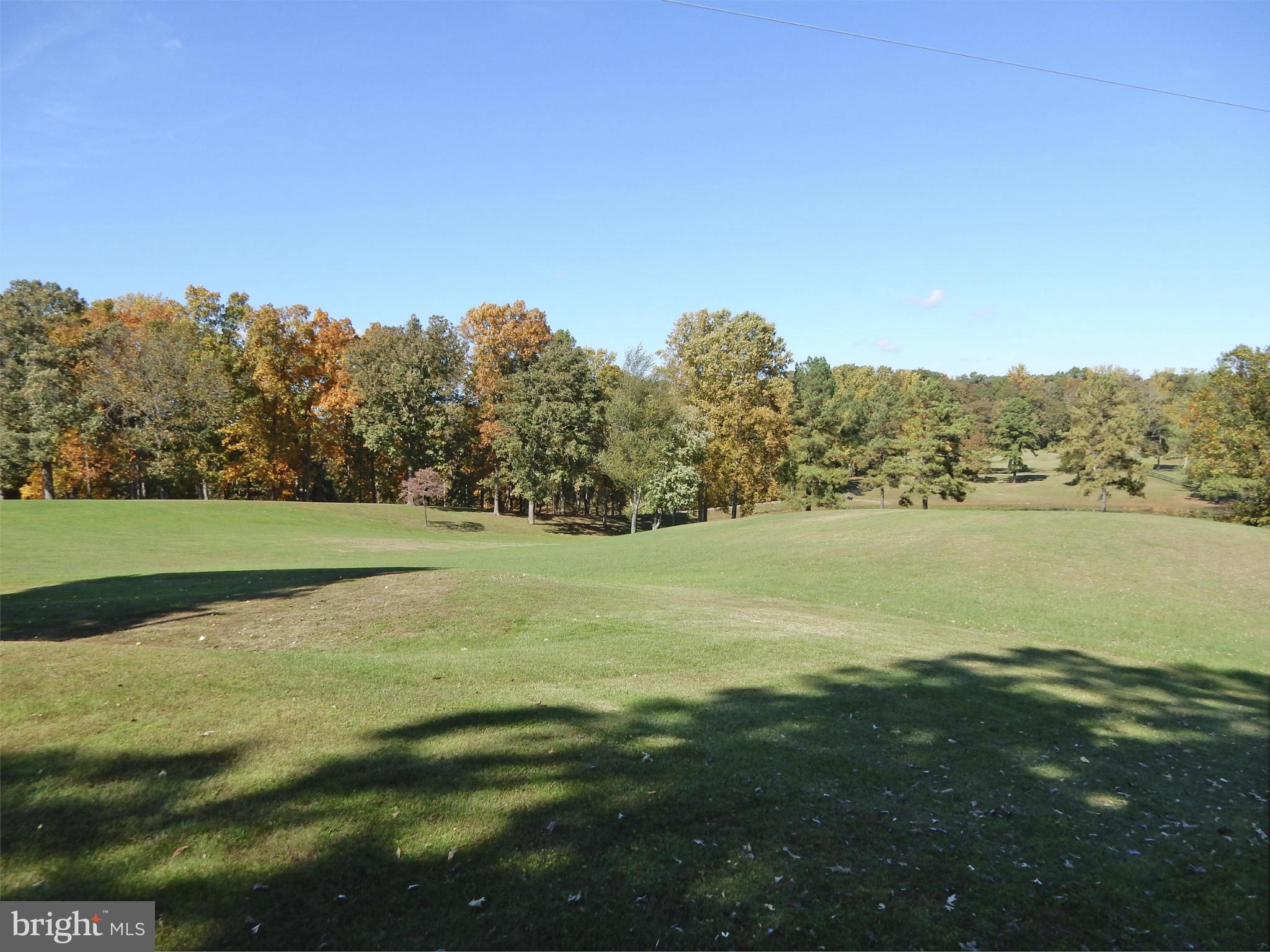 9154 Lees Ridge Road Warrenton, VA 20186 - Photo 4 of 29 Pasture and woodland