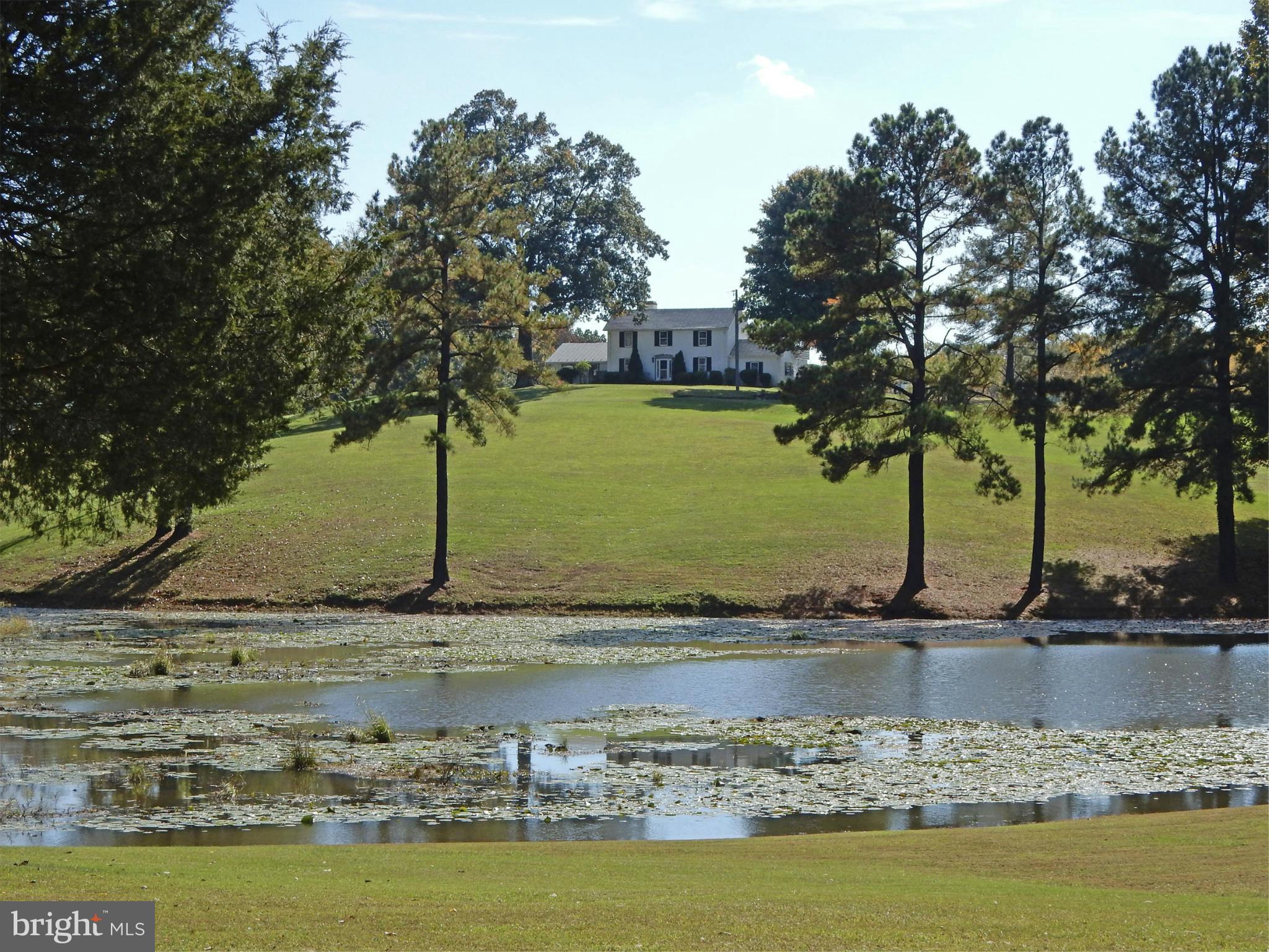 9154 Lees Ridge Road Warrenton, VA 20186 - Photo 6 of 29 Across pond