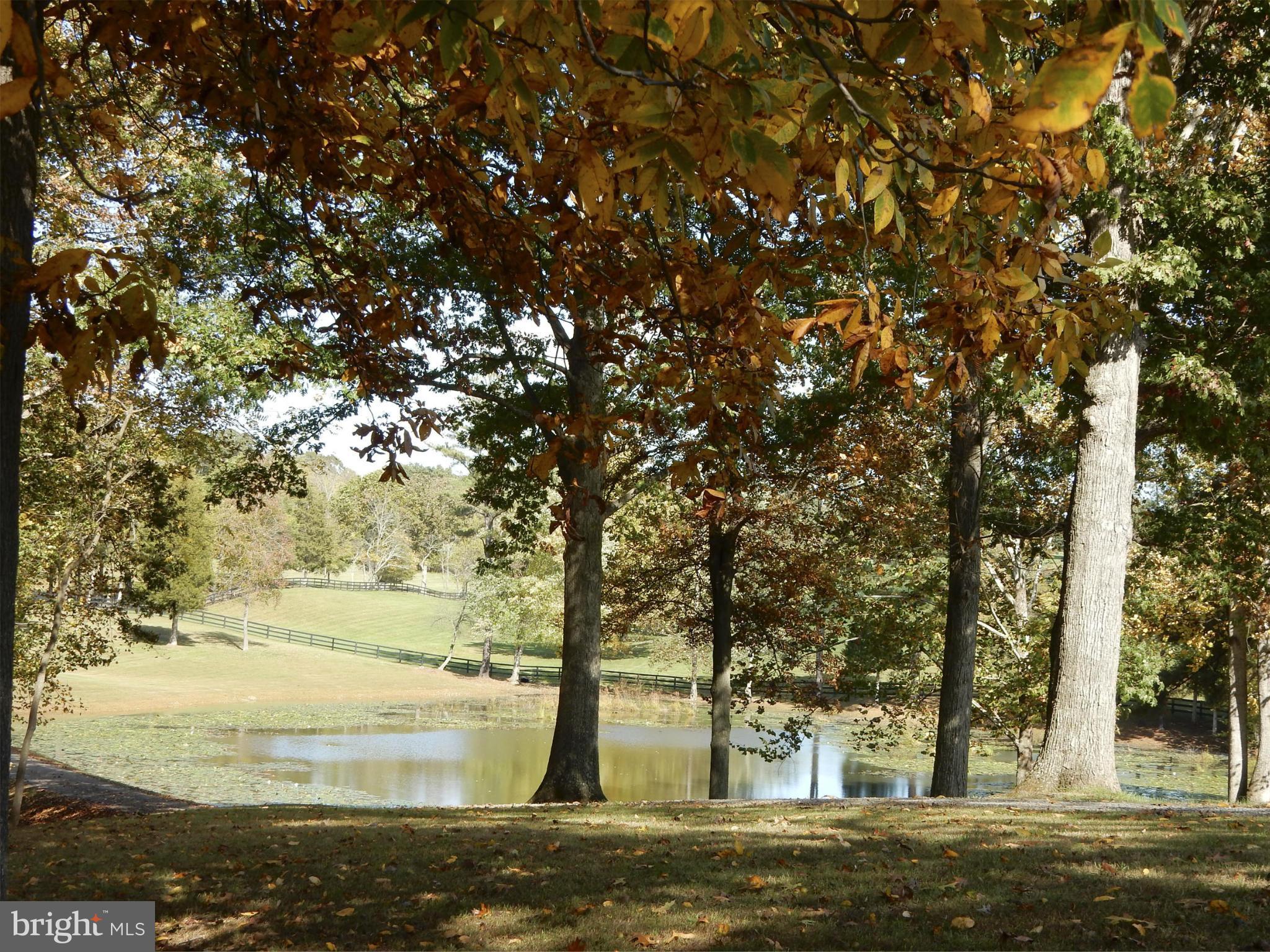 9154 Lees Ridge Road Warrenton, VA 20186 - Photo 7 of 29 Pond and pasture through trees