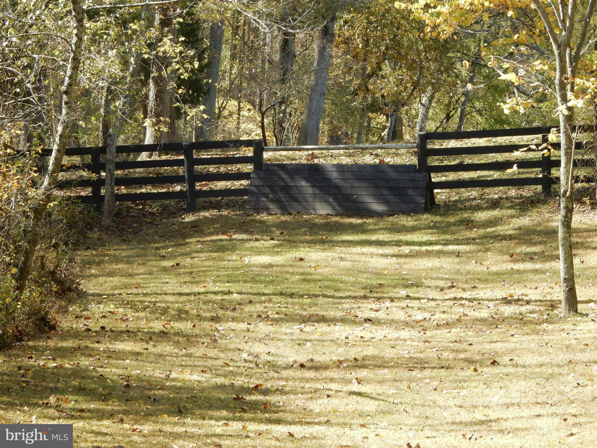9154 Lees Ridge Road Warrenton, VA 20186 - Photo 9 of 29 Trails with jump
