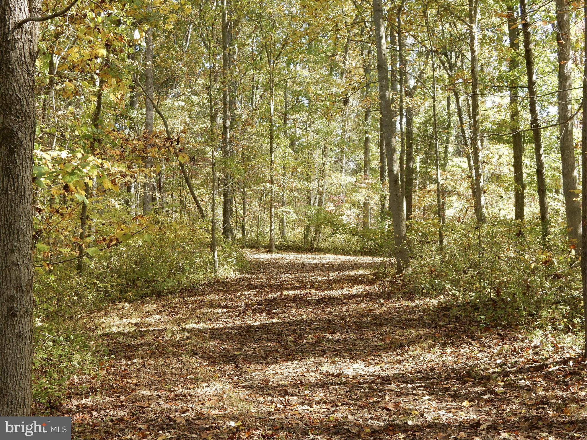 9154 Lees Ridge Road Warrenton, VA 20186 - Photo 10 of 29 Riding trails