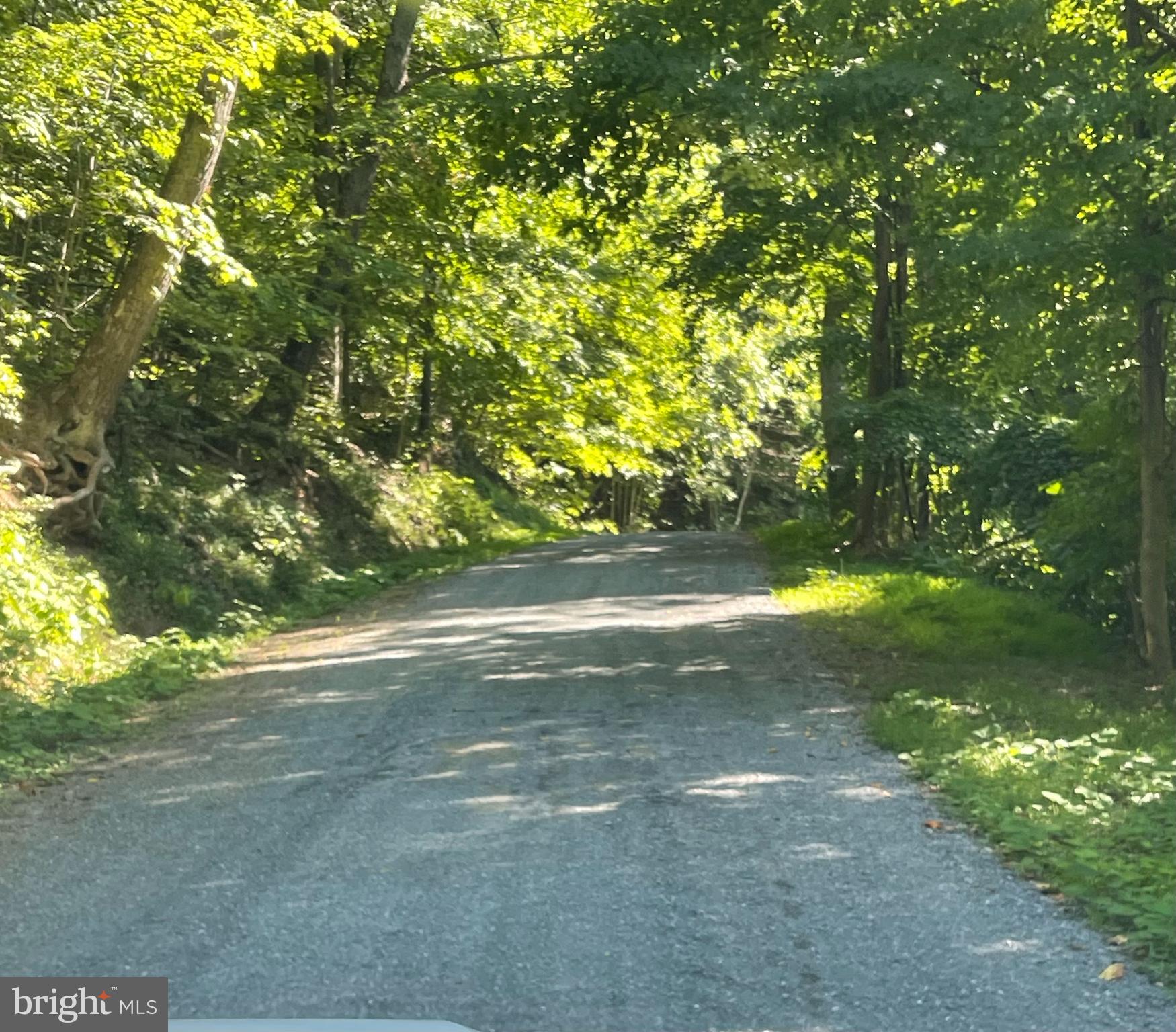 Lot 1 Gobbler Road Hedgesville, WV 25427 - Photo 8 of 12 Swinging Bridge Rd