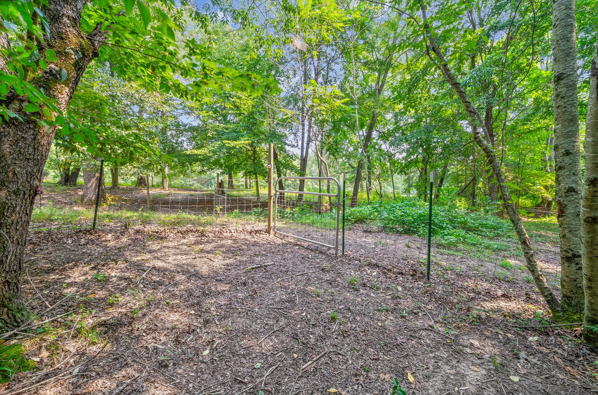 1663 Southside Road Southside, TN 37171 - Photo 6 of 16 Gallery Image 6