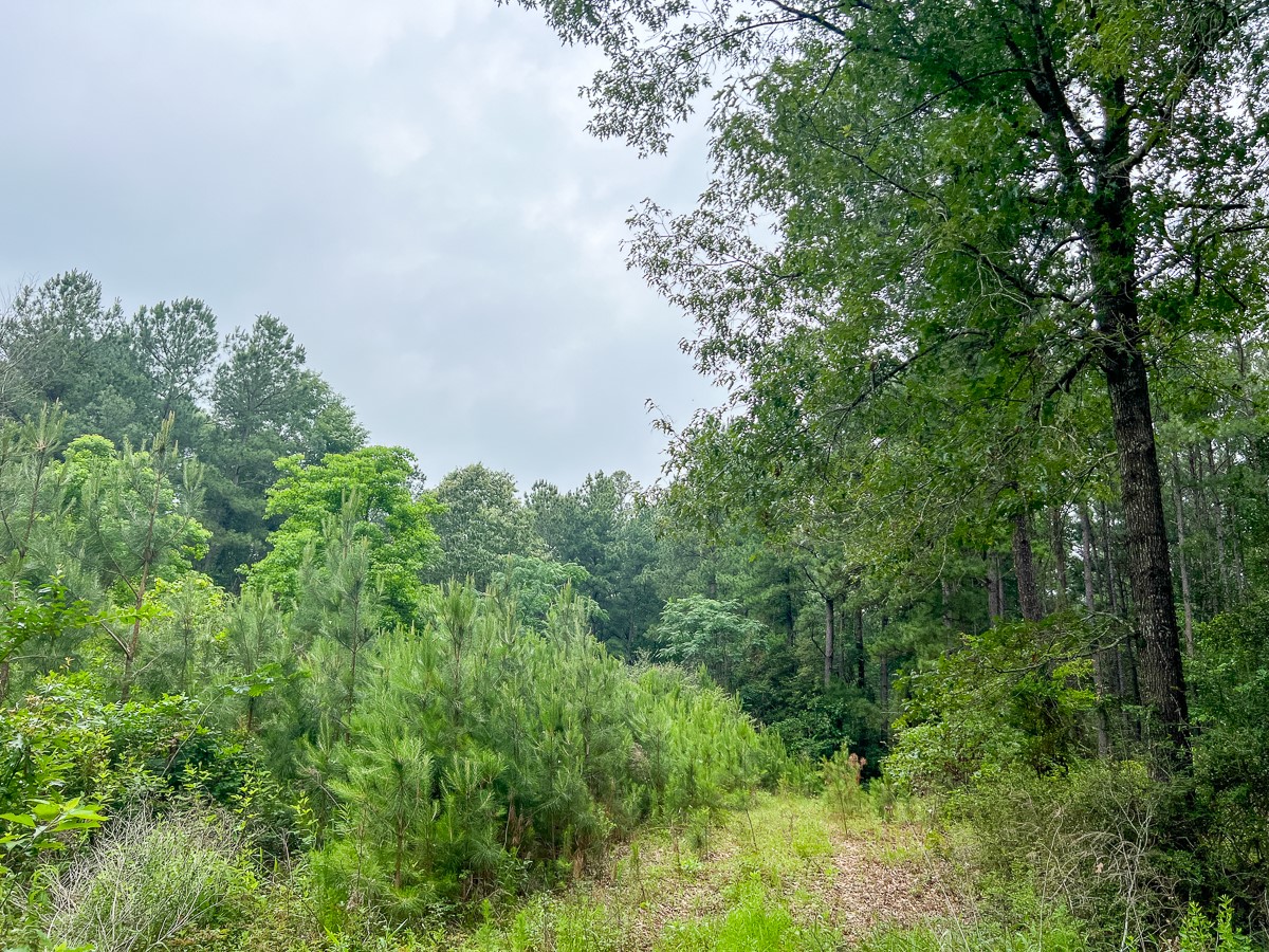 0 Fm 1475 Lufkin, TX 75901 - Photo 5 of 13