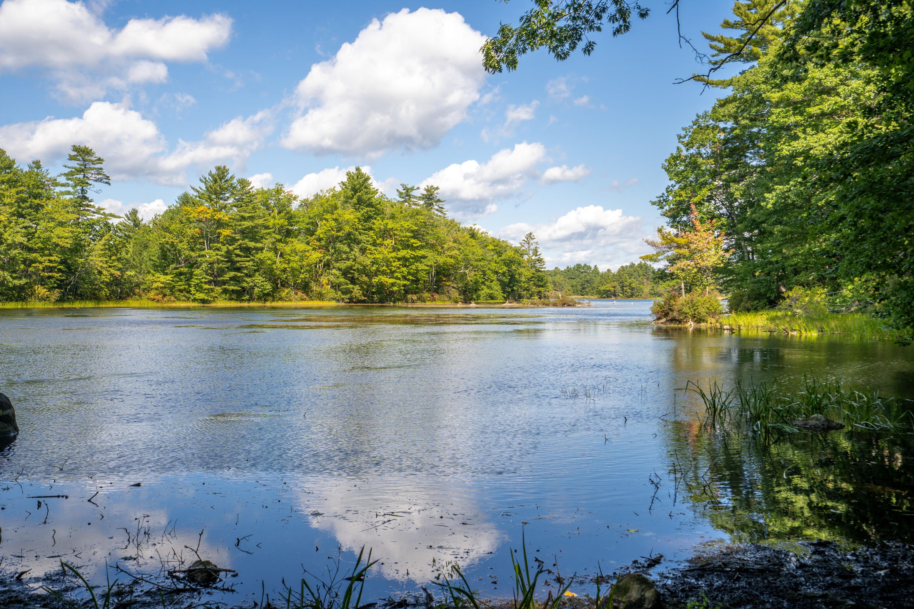165 Whippoorwill Road Litchfield, ME 04350 - Photo 7 of 55 a5