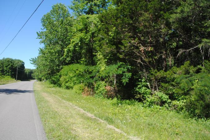 0 South Marble Top Road Chickamauga, GA 30707 - Photo 2 of 93 DSC_0666