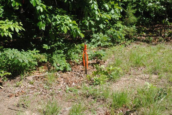 0 South Marble Top Road Chickamauga, GA 30707 - Photo 23 of 93 DSC_0668