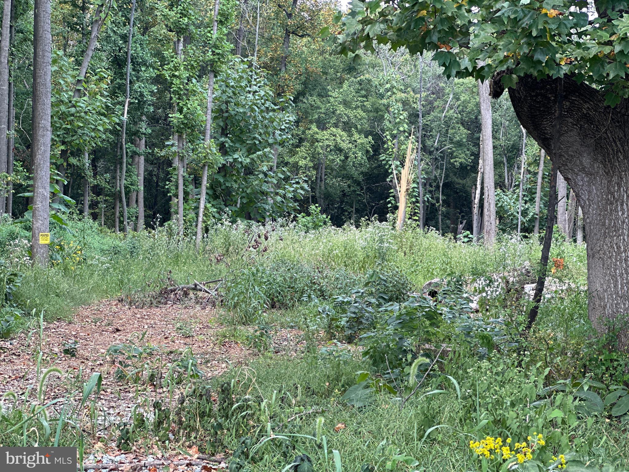 107 St Marks Church Road Perryville, MD 21903 - Photo 5 of 7 This is the entrance to the property