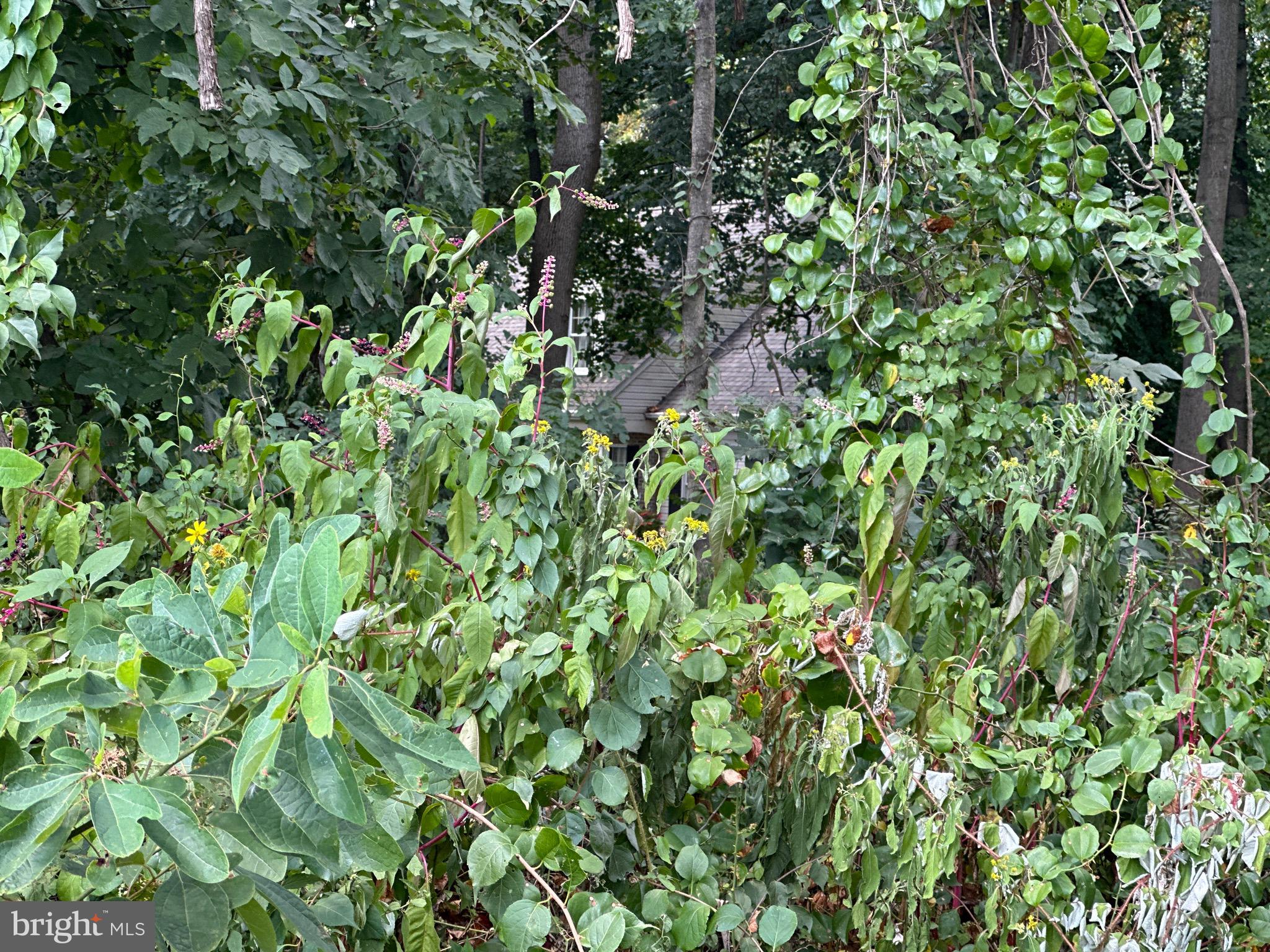 107 St Marks Church Road Perryville, MD 21903 - Photo 6 of 7