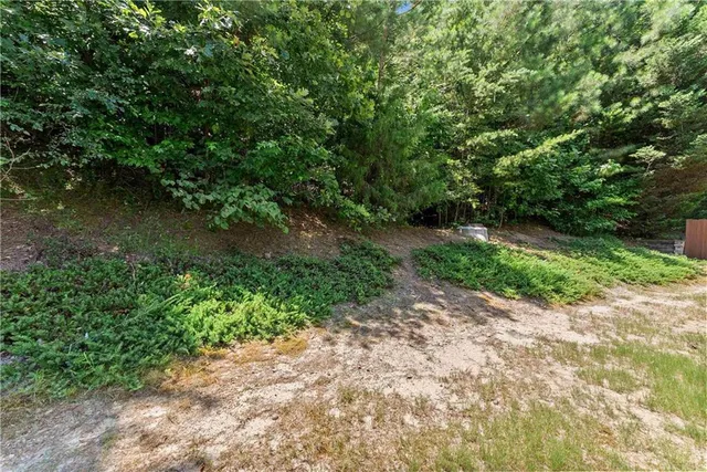 a view of a pathway both side of yard
