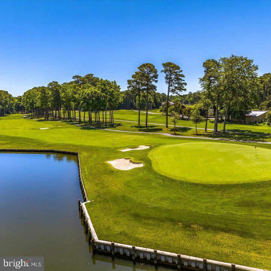101 Sandyhook Road Ocean Pines, MD 21811 - Photo 60 of 64 a view of a swimming pool with a lawn chairs yard and palm trees