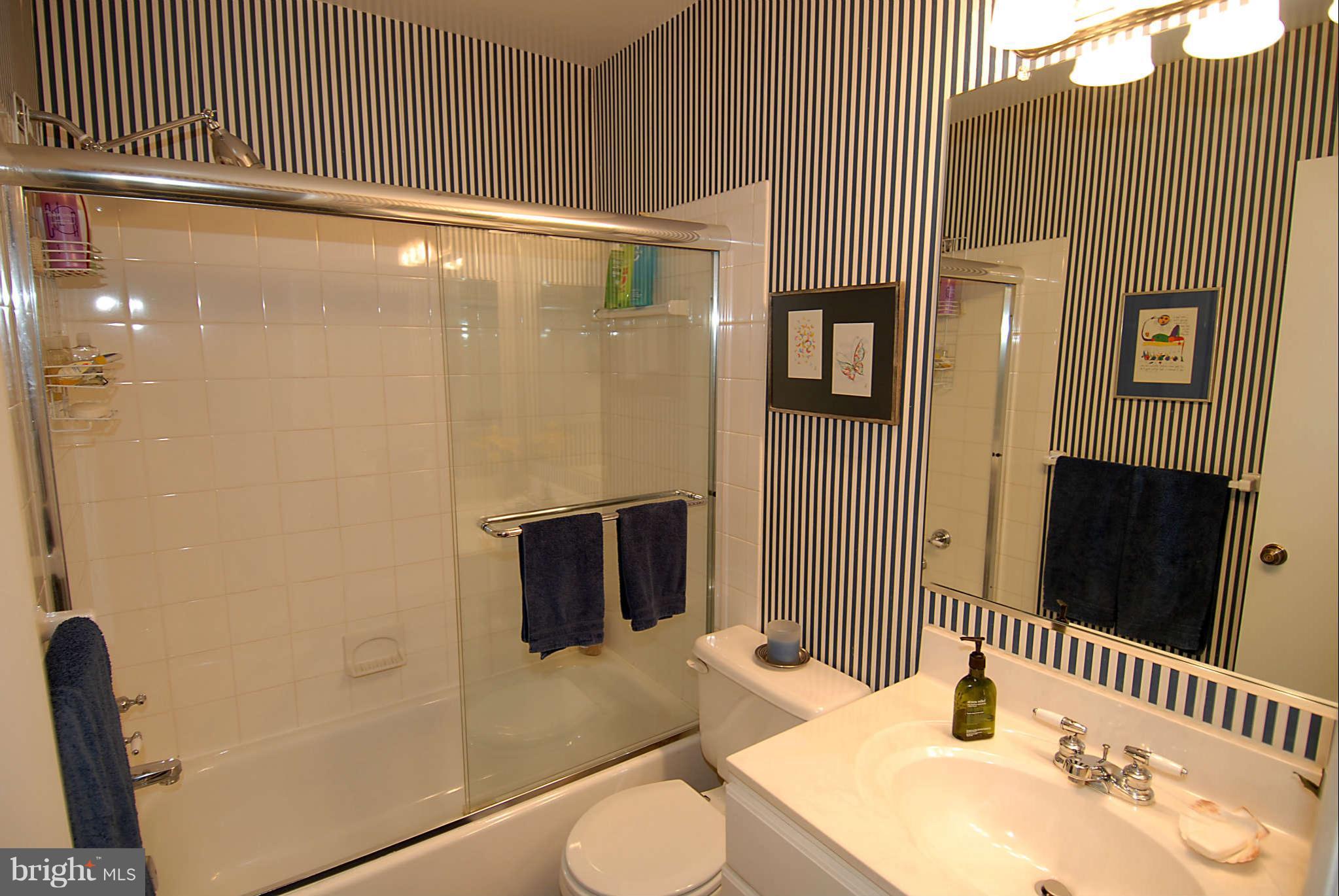 10315 Royal Road Silver Spring, MD 20903 - Photo 14 of 17 Bath