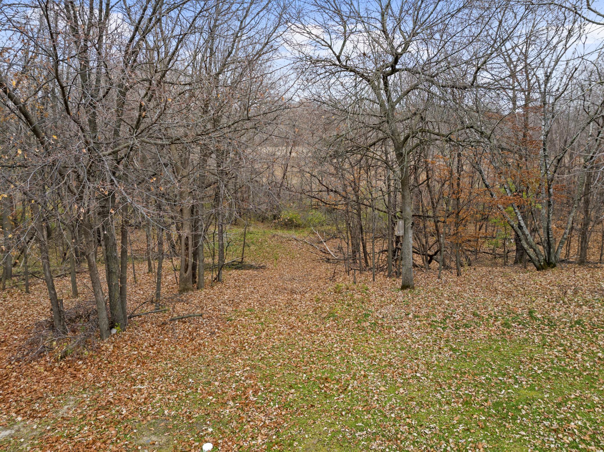 7437 Sandhill Terrace Northeast Carlos, MN 56319 - Photo 67 of 75