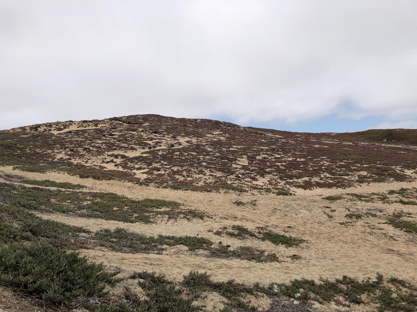0 Tioga Avenue Seaside, CA 93955 - Photo 4 of 15 an aerial view of ocean