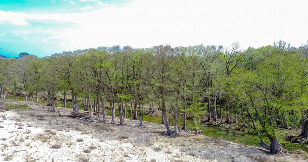 6515 Highway 27 Center Point, TX 78010 - Photo 31 of 48 a view of a forest with trees in the background