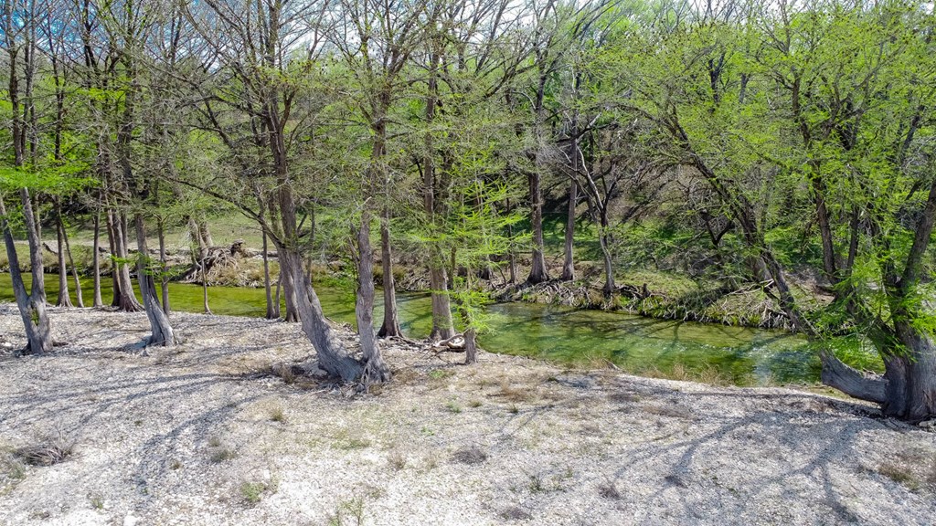 6515 Highway 27 Center Point, TX 78010 - Photo 33 of 48 a view of a yard with a slide