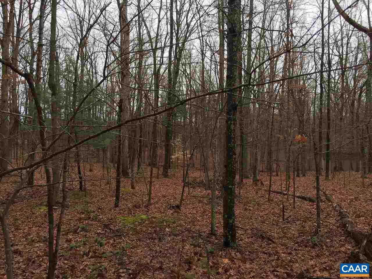 0 Loving Road Gordonsville, VA 22942 - Photo 8 of 8 Gallery Image 8