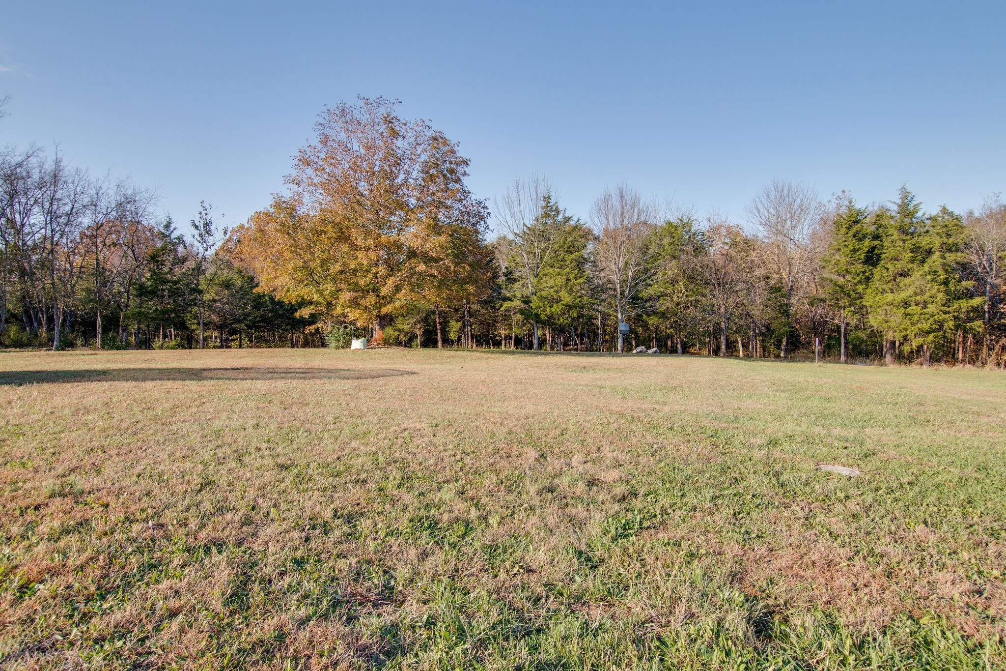 7062 Williams Road Christiana, TN 37037 - Photo 25 of 32 Gallery Image 25