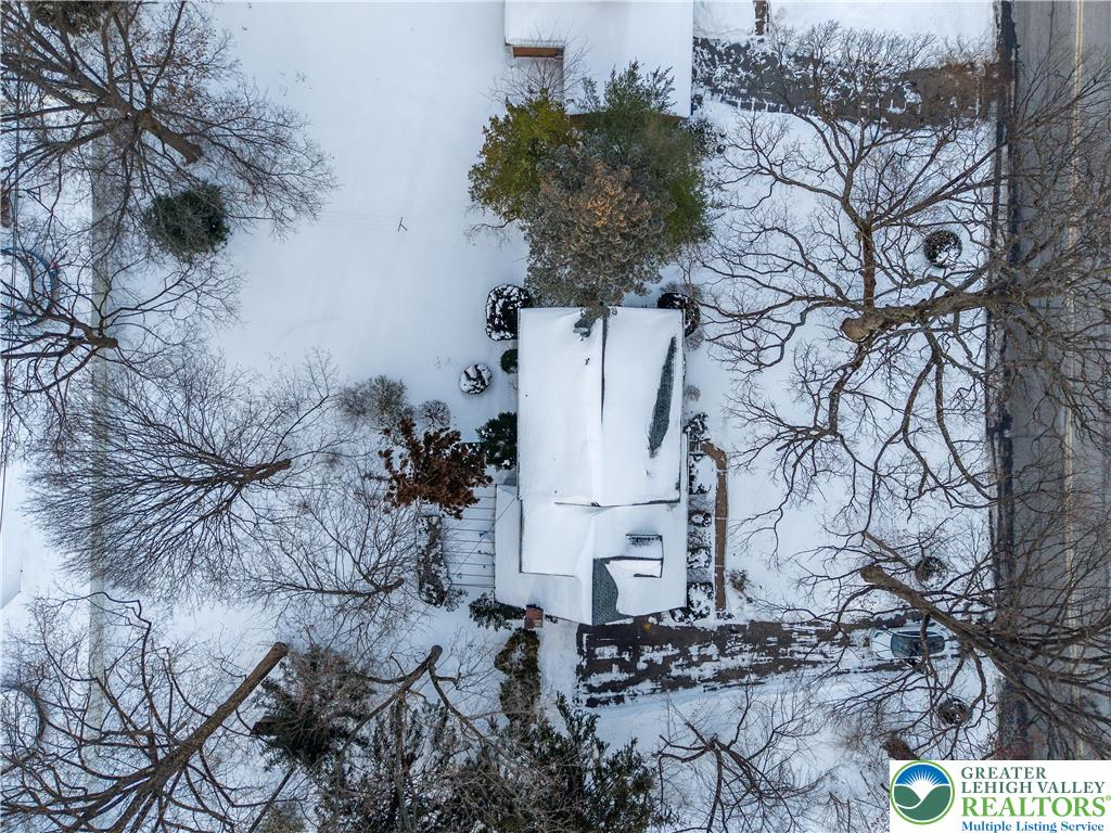 904 Parkway Road Allentown, PA 18104 - Photo 38 of 42 a picture of trees