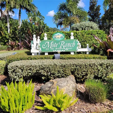 a view of a yard with plants