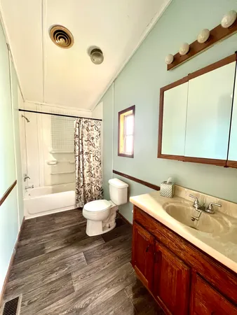 a bathroom with a sink mirror vanity and a toilet