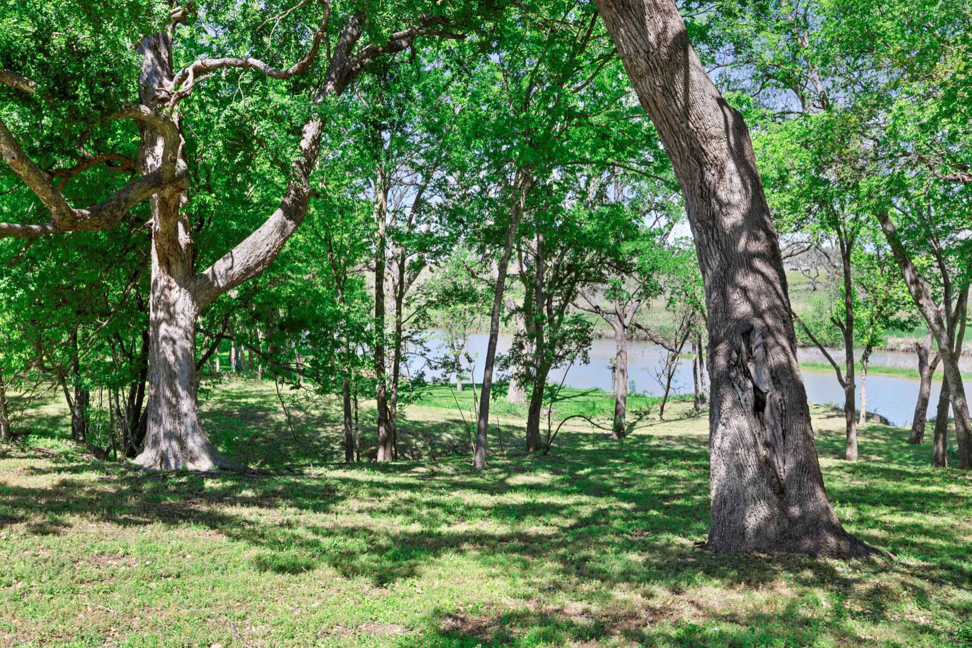 571 Ranch Road 1 Stonewall, TX 78671 - Photo 15 of 21 View of green lawn