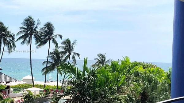 a view of a palm tree with a plant
