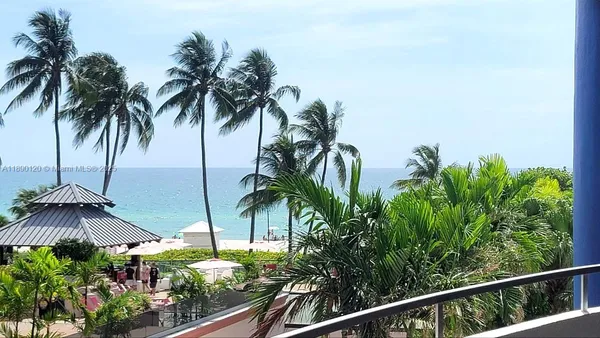 a view of a yard with palm trees