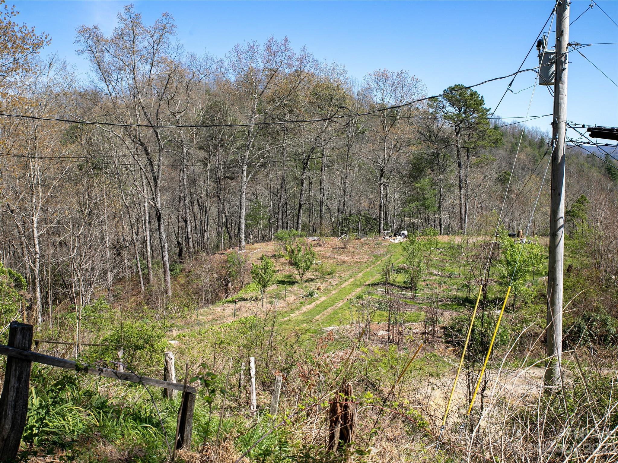 384 Pheasant Gap Road Rosman, NC 28772 - Photo 2 of 26 Gallery Image 2