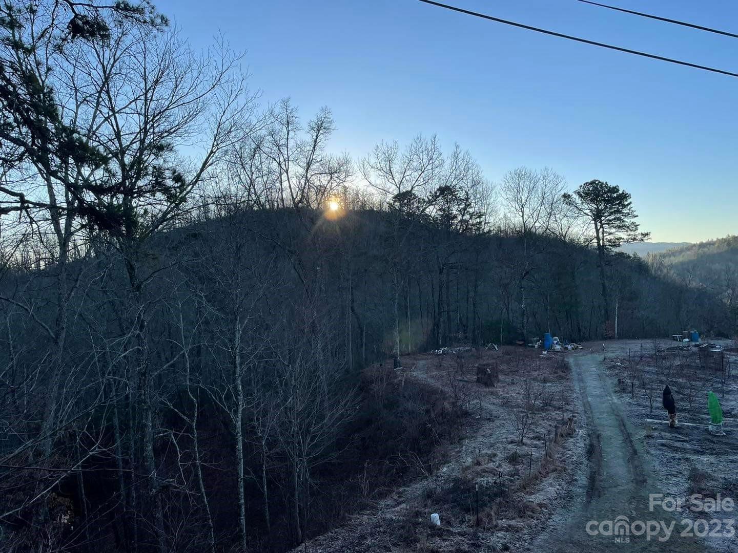 384 Pheasant Gap Road Rosman, NC 28772 - Photo 23 of 26 Gallery Image 23