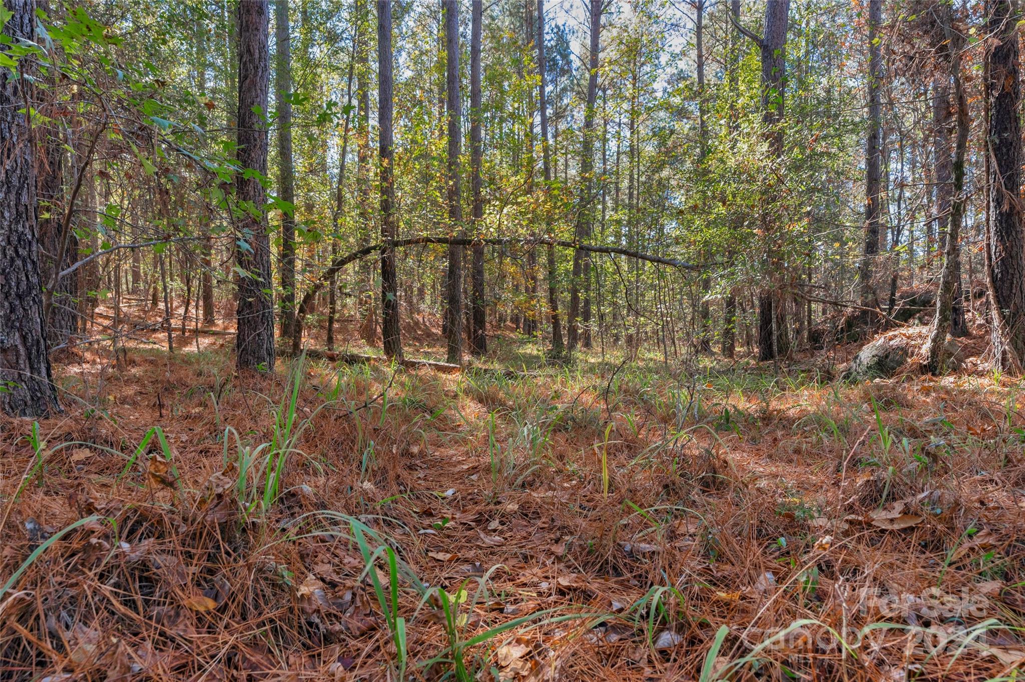 0 Beaker Road, Unit 7 Heath Springs, SC 29058 - Photo 11 of 18 Gallery Image 11