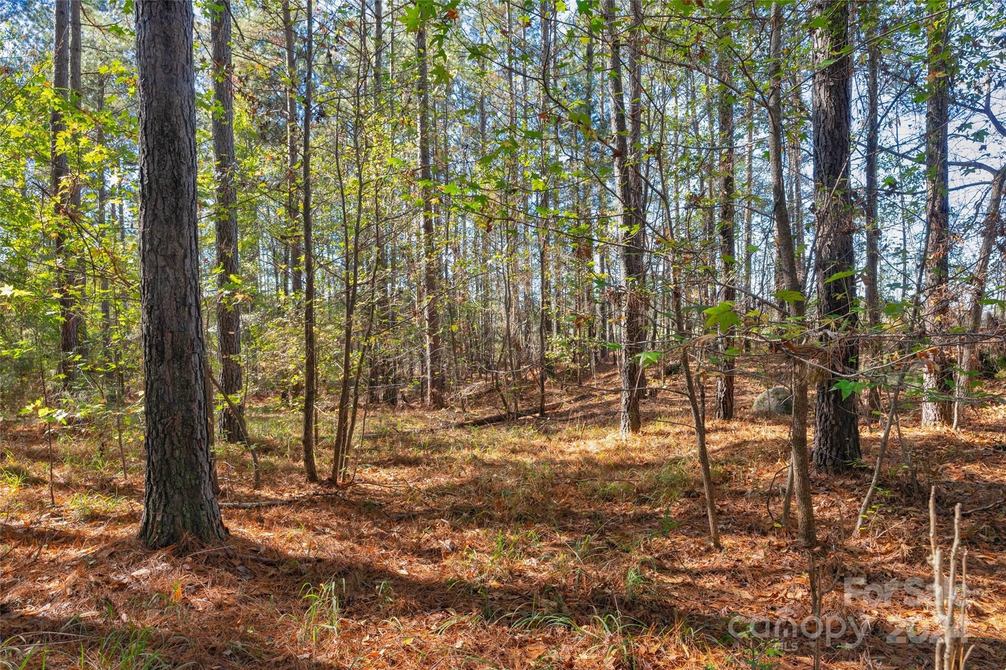 0 Beaker Road, Unit 7 Heath Springs, SC 29058 - Photo 12 of 18 Gallery Image 12