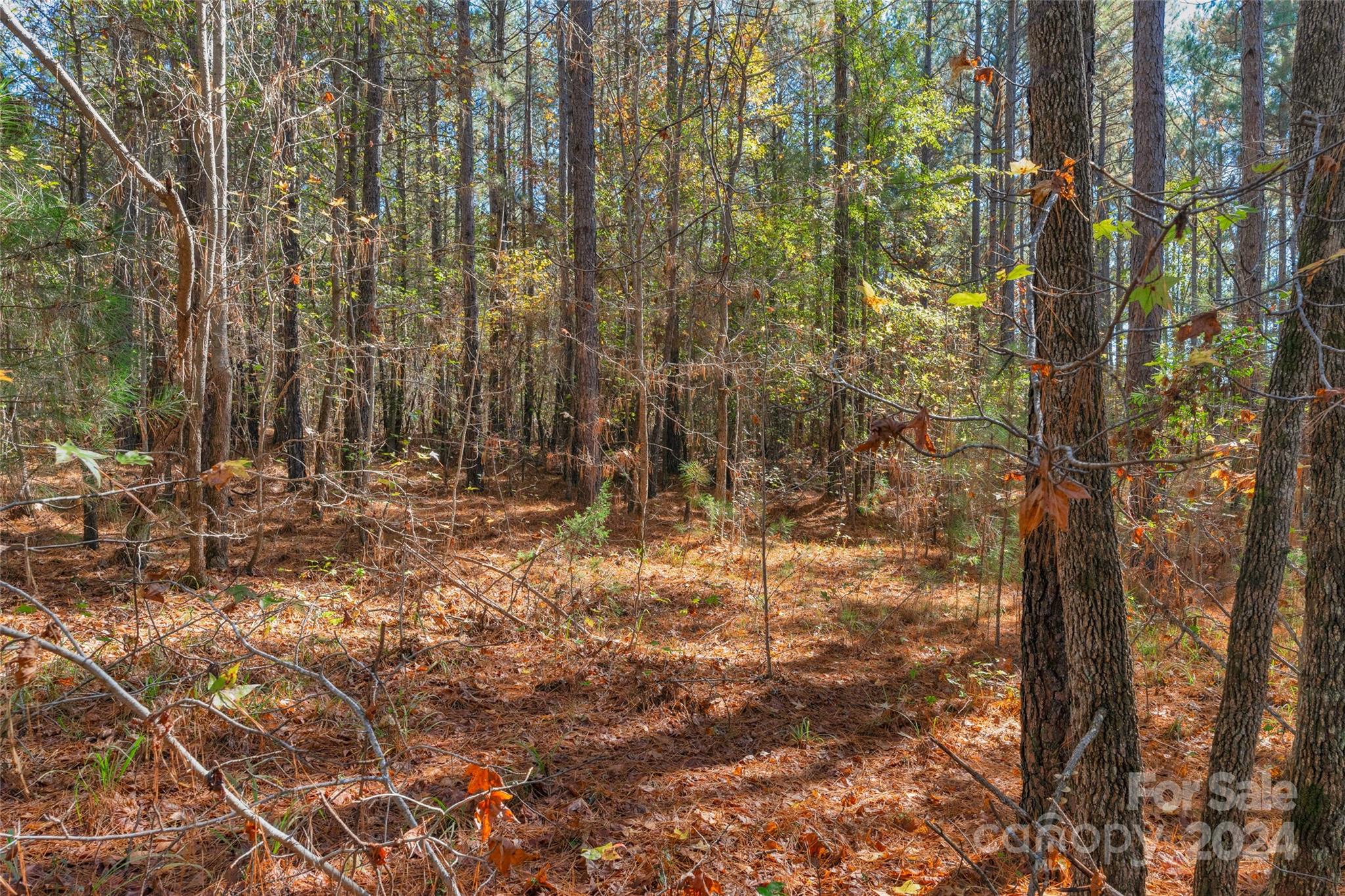 0 Beaker Road, Unit 7 Heath Springs, SC 29058 - Photo 15 of 18 Gallery Image 15