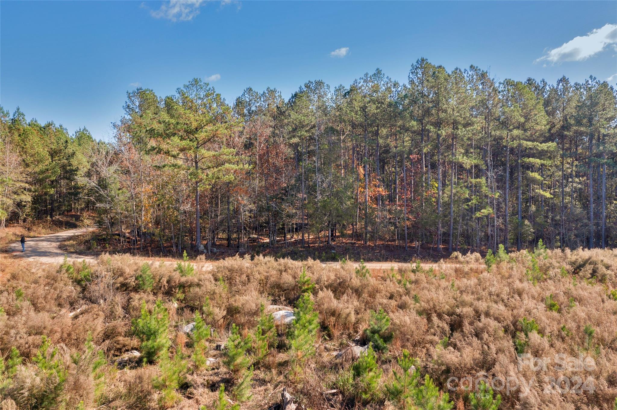 0 Beaker Road, Unit 7 Heath Springs, SC 29058 - Photo 4 of 18 Gallery Image 4