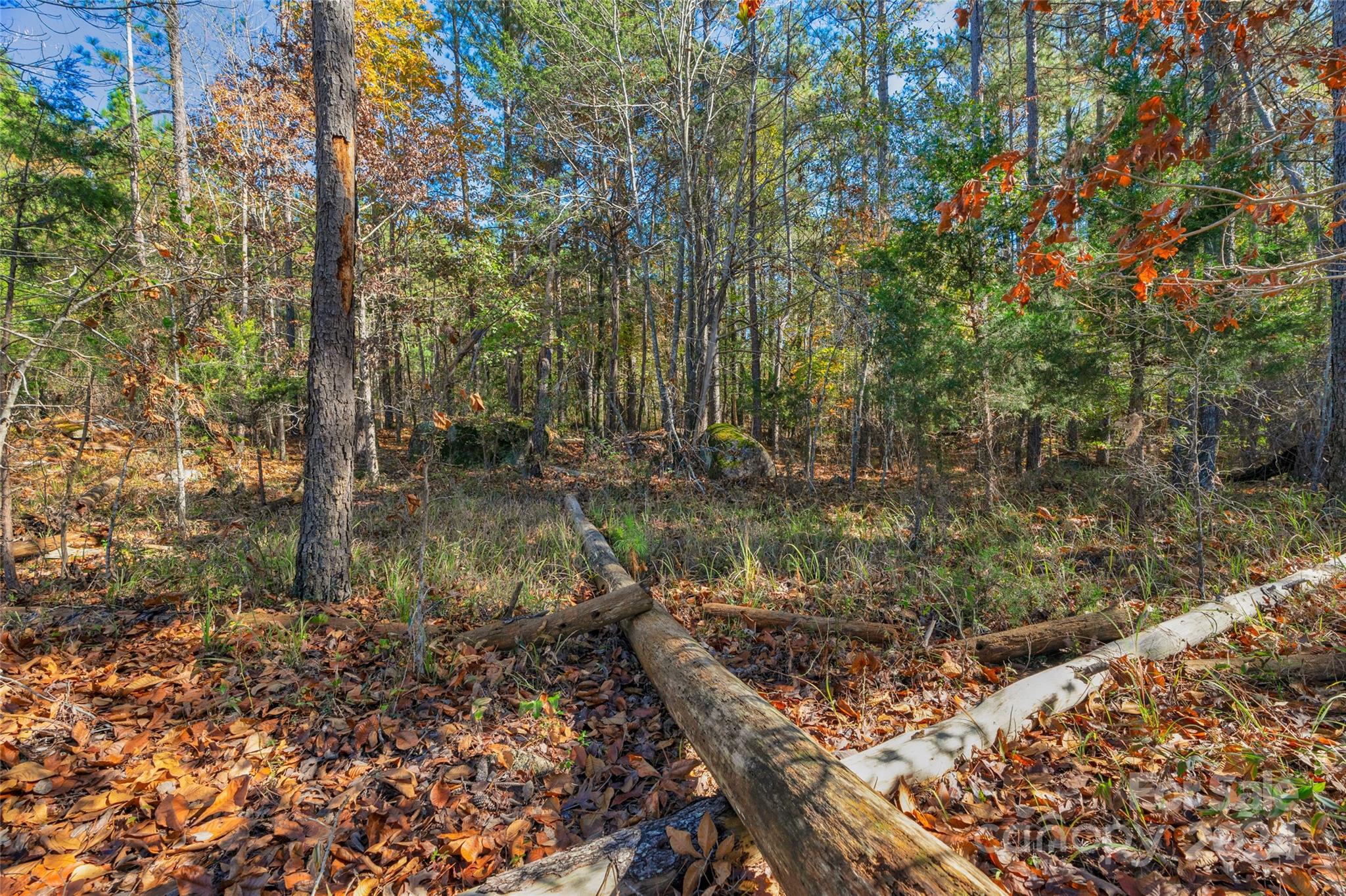 0 Beaker Road, Unit 7 Heath Springs, SC 29058 - Photo 8 of 18 Gallery Image 8